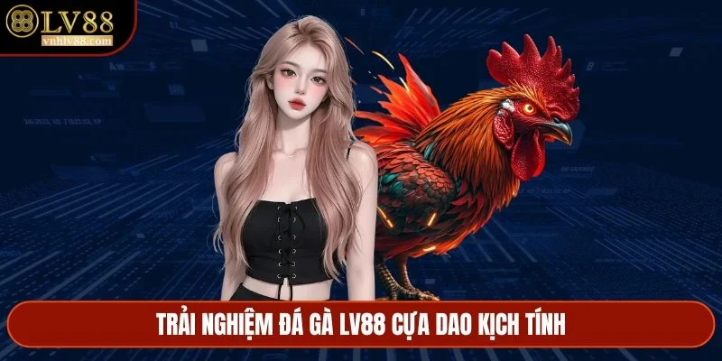 Trải nghiệm đá gà LV88 cựa dao kịch tính