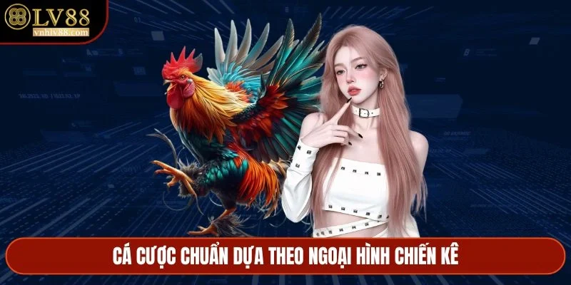 Cá cược chuẩn dựa theo ngoại hình chiến kê